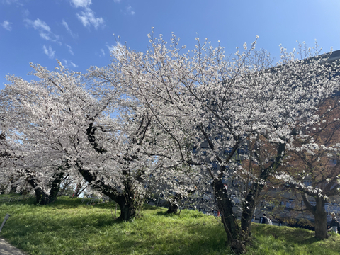 BA386F2A-F4B0-4AEF-844E-D2B5B7881418.jpg